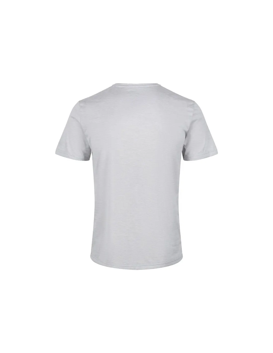 Camiseta de fitness Regatta Fingal Edition Hombre GR