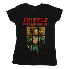 Ziggy Stardust Spider